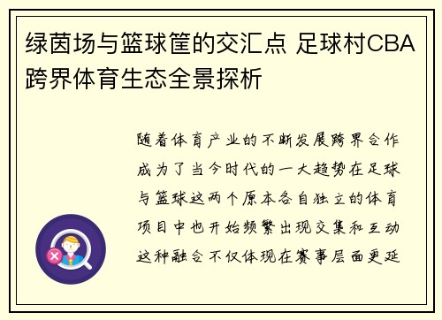 绿茵场与篮球筐的交汇点 足球村CBA跨界体育生态全景探析
