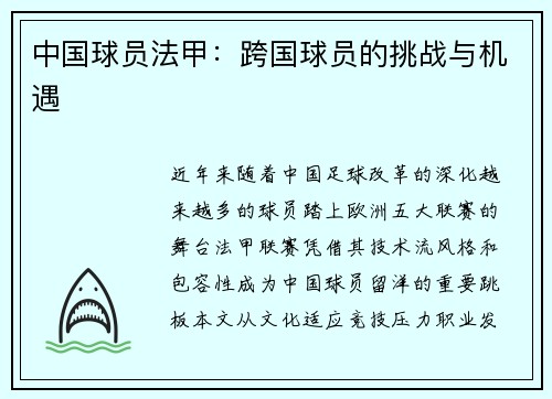 中国球员法甲：跨国球员的挑战与机遇